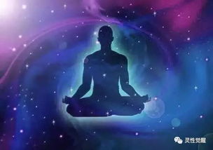 你的能量级别决定你的一切
